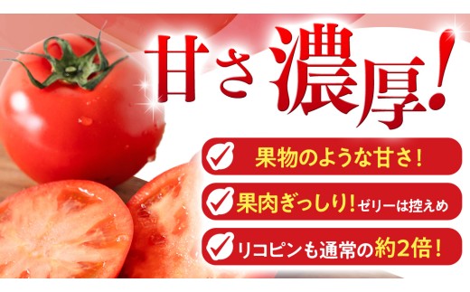 《 2027年 収穫分 》2～6月配送 スーパーフルーツトマト 中箱 約1.2kg × 1箱 (12～18玉/1箱) 糖度9度以上 先行予約 茨城県 桜川市 KEK 国産 トマト フルーツトマト ブラ
