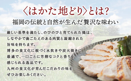 Y08-40 博多地どりローストチキン・つぶ明太セット 地鶏