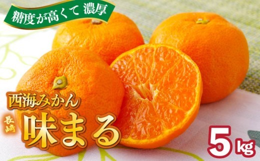 【 早期受付 】 【 11月発送 】 西海みかん ｢ 味まる ｣ 5kg 産地直送 ブランドみかん 糖度 12度以上 新鮮 家庭用 温州みかん 佐世保みかん フルーツ 柑橘 オレンジ デザート ジュー