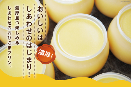 プリン｜しあわせのおひさまプリン6個入り (120g/1個) おやつ デザート 洋菓子