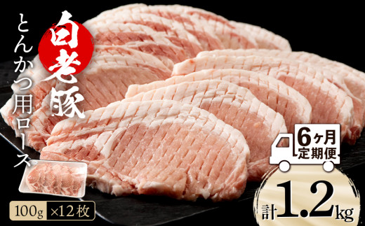 
【定期便 6カ月】北海道産 白老豚 ロース とんかつ用 100g×12枚
