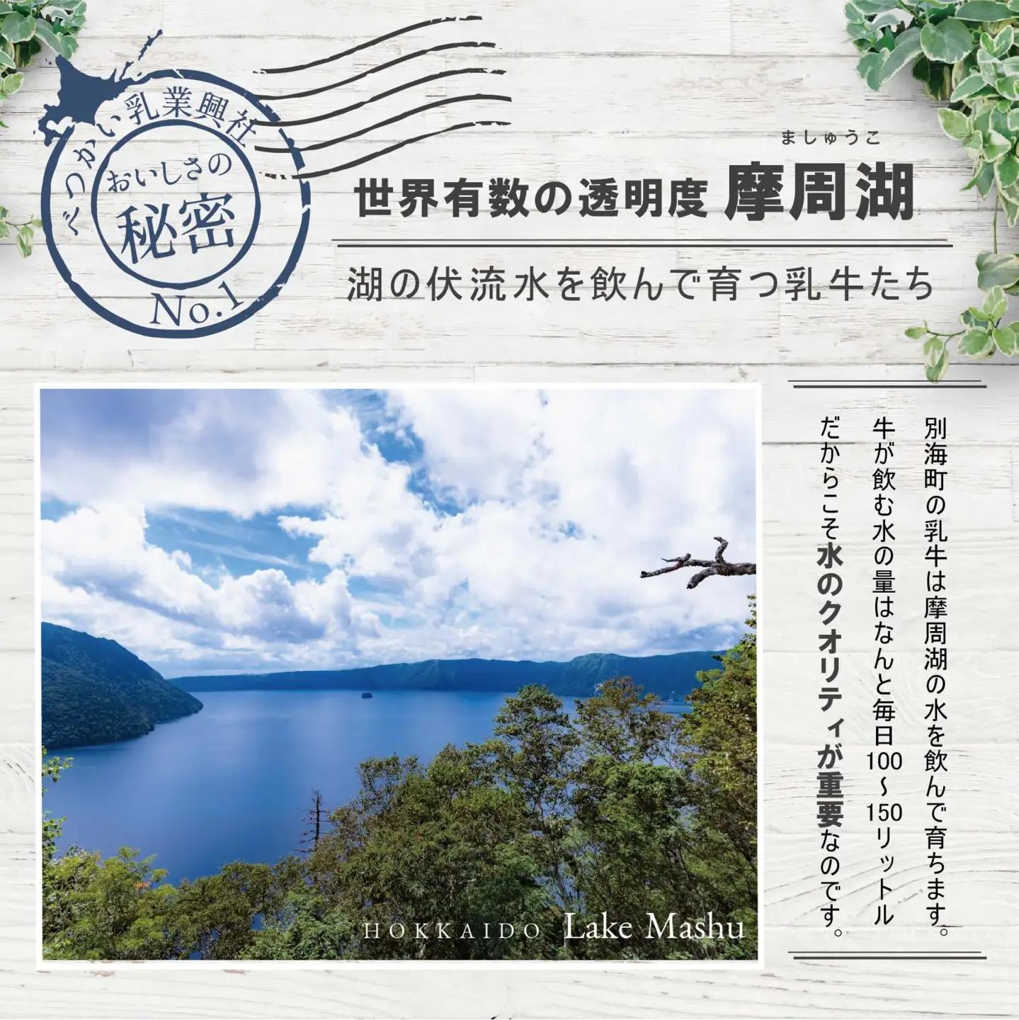 べつかいの牛乳屋さん 1L 12本入 (高島屋選定品) （ 牛乳 北海道 別海町 人気 ふるさと納税 ）