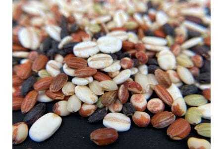 オリジナルブレンド五穀米・十五穀米　4個セット