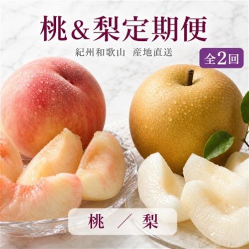 【発送月固定定期便】紀州和歌山産旬のフルーツセット(8月:桃約1.8kg・9月:梨約2kg)全2回【配送不可地域：離島・北海道・沖縄】【4074867】