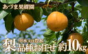 【ふるさと納税】No.1769梨　品種おまかせ　(幸水又は豊水)約10kg【2025年発送　先行予約】