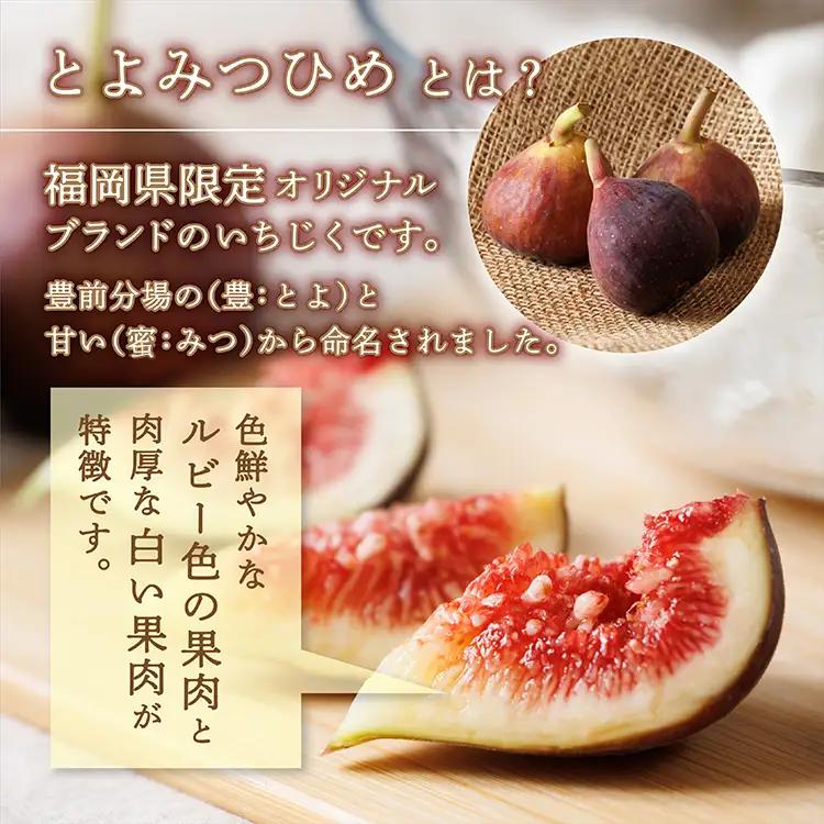福岡県ブランド いちじく 「とよみつひめ」約1.2ｋｇ(約300ｇ×4パック)  | 無花果 イチジク 美容 ジャム 旬 果物 フルーツ 生 旬 朝ごはん 朝食 デザート お取り寄せ 送料無料 福岡県