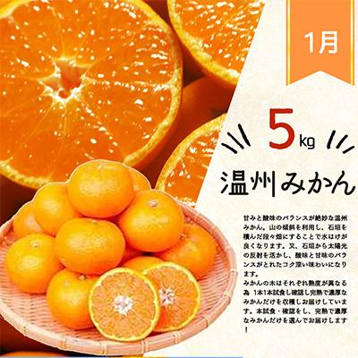 ふるさと納税 日高川町 【発送月固定定期便】紀州和歌山産旬の柑橘セット(みかん・不知火・清見)全3回 |  | 01