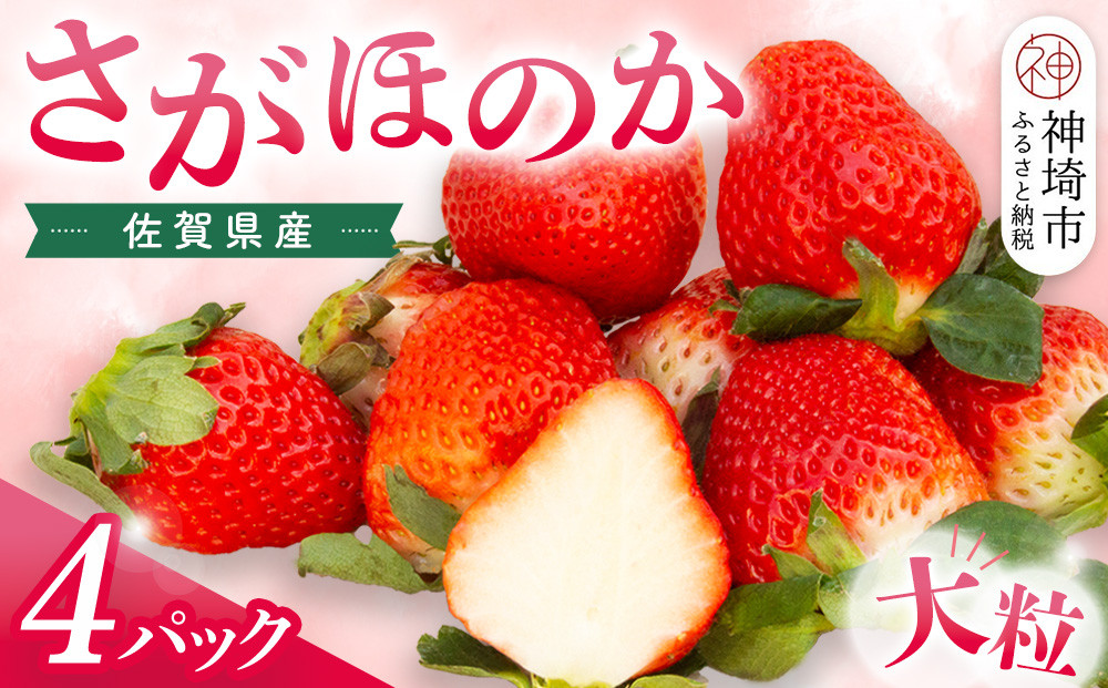 
            【先行受付 令和7年1月より発送】佐賀県産『さがほのか』4Pセット【いちご 苺 イチゴ 大粒 果物 フルーツ デザート ふるさと納税】(H108103)
          