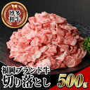 【ふるさと納税】博多和牛切り落とし(500g) 牛肉 黒毛和牛 国産 すき焼き しゃぶしゃぶ＜離島配送不可＞ 【ksg0459】【JA全農ミートフーズ】