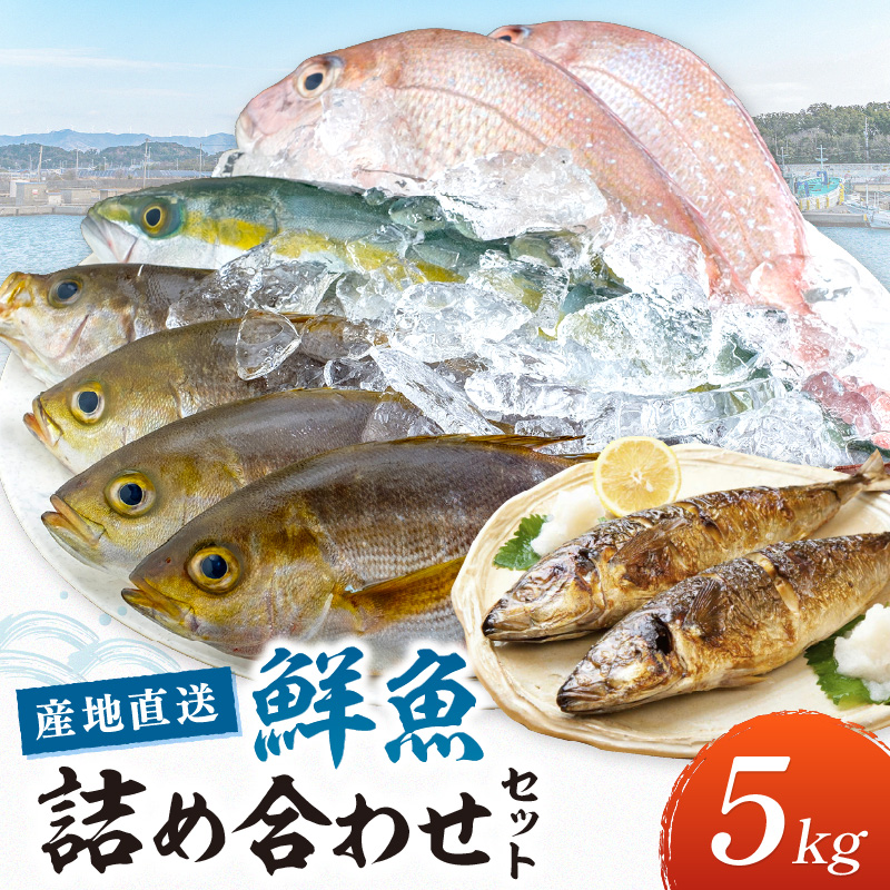 【0008-2】御坊産　鮮魚セット5kg【配送不可地域】沖縄・北海道・東北・九州