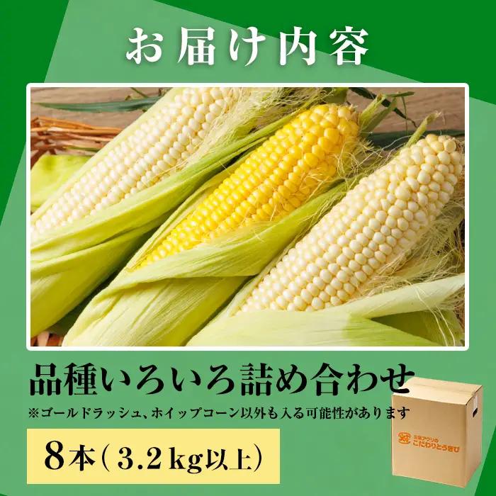 スイートコーン 品種いろいろ詰め合わせ 北海道 8本 2026年8月下旬より発送 【三栄アグリ】　A7137