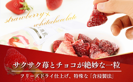 白い果菓欧（３袋） | お菓子 おかし オカシ フルーツ 果物 くだもの いちご イチゴ 苺 ストロベリー 奈良県 五條市 チョコレート スイーツ ギフト オシャレ スイーツ 洋菓子 バレンタイン ホ