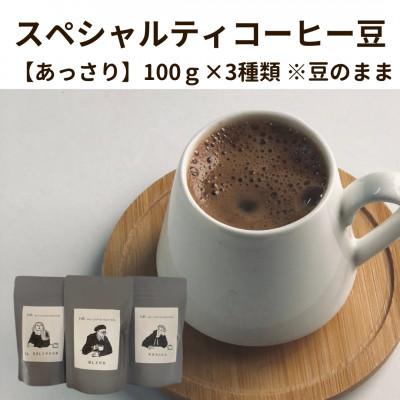 ふるさと納税 八女市 スペシャルティコーヒー豆100g×3種類【あっさり】※豆のまま
