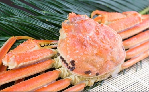 D-66014【年内配送可】 ずわい蟹600g×5尾