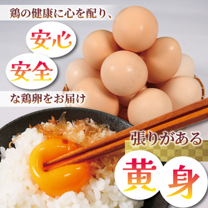 【2024年8月中旬以降発送】【定期便12ヵ月】京都 丹波 こだわりピンク卵 撫子たまご40個 (30個＋割れ保証10個) FCDZ007/ 三和鶏園 MS～LLサイズ  卵 たまご タマゴ 濃い ピ