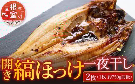 
            G-28055 根室海鮮市場＜直送＞開き縞ほっけ一夜干し2枚 【12月8日決済分まで年内配送】
          