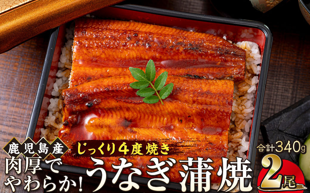 うなぎ 蒲焼 170g×2尾【鹿児島産】地下水で育てた絶品鰻 464686_AQ106