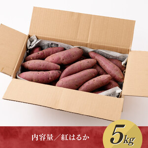 村井農園産さつまいも「紅はるか」5kg 【 宮崎県産 九州産 いも 芋 サツマイモ 野菜 】