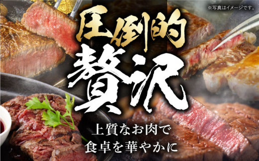 【全12回定期便】長崎和牛 ステーキ極旨コース 総計23.4kg/モモ リブロース イチボ サーロイン ランプ ヒレ レモンステーキ/肉 牛肉 ステーキ/ 波佐見町 / 野中精肉店 [VF84]