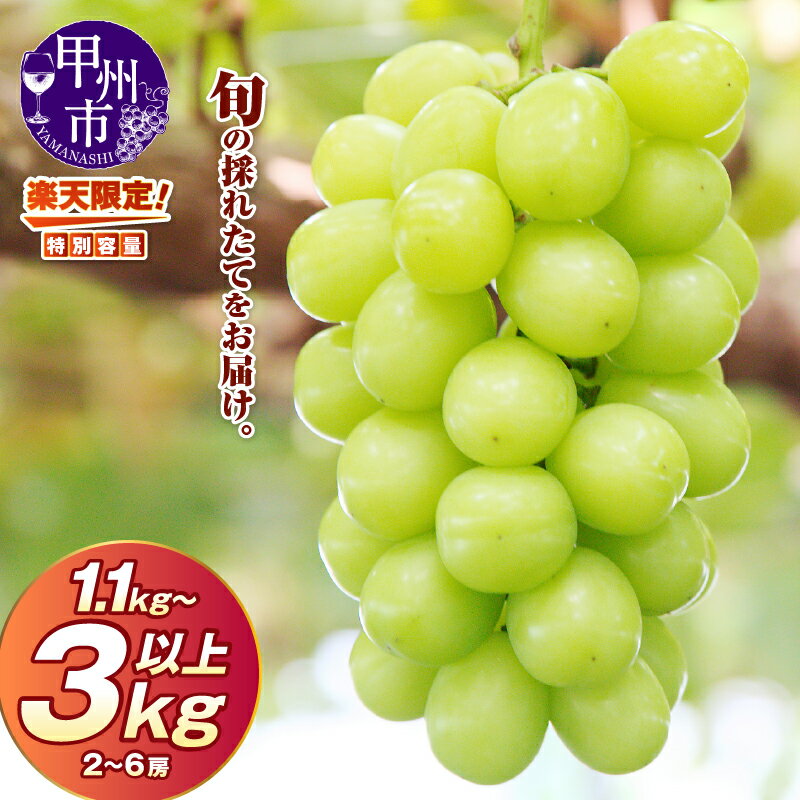 2023年先行予約 甲州市産 旬の採れたてシャインマスカット 1.2kg以上(2~3房)