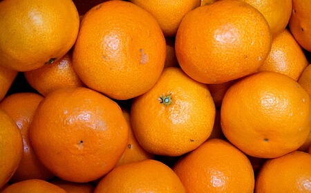 【先行予約】有田の旬の食べごろみかん約5kg（サイズ混合）※2026年11月下旬～2027年1月中旬頃順次発送【TM-tecj1042】 
