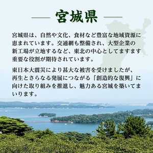 本麒麟【仙台工場産】500ml缶×48本_酒・アルコール 発泡酒  _【1587230】