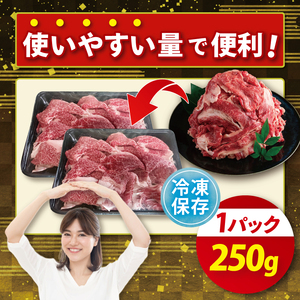 【茨城県共通返礼品】【12ヶ月定期便】常陸牛切り落とし 500g（250g×2）【黒毛和牛 国産 銘柄牛 牛肉 肉 冷凍 茨城県産】(81-21)