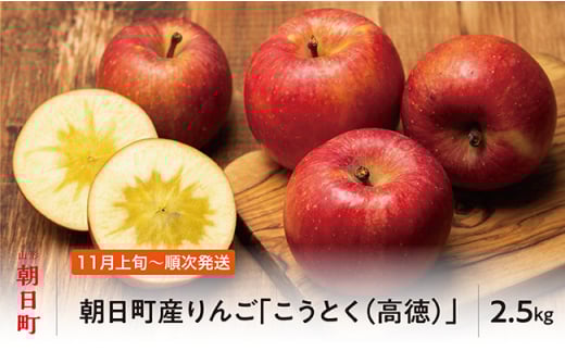 りんご こうとく 高徳 秀品 2.5kg 【11月上旬発送】山形県 朝日町産 山形県産 特産 果物 フルーツ リンゴ 林檎 秋