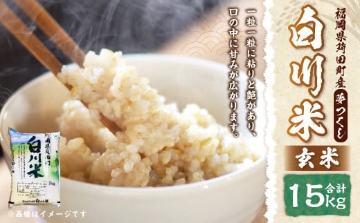 【新米先行予約】白川米 ( 夢つくし ) 玄米 合計15kg（5kg×3袋）【2025年10月下旬から順次発送予定】