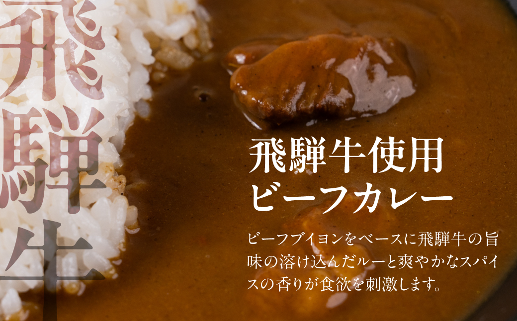 飛騨牛ビーフカレー・飛騨産豚使用ポークカレー＆福神漬けセット | ご当地 グルメ カレー 飛騨高山 株式会社永井商店 PG019