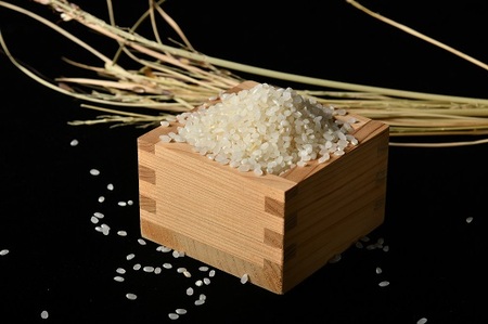 新米 松阪産 結びの神 精米 令和7年産 10ｋｇ（5ｋｇ×2）