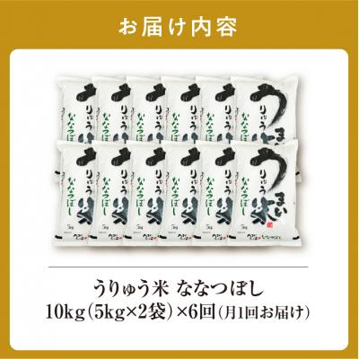 ふるさと納税 雨竜町 【R7新米!定期便全6回】うりゅう米 ななつぼし 精米 10kg(5kg×2袋)毎月1回お届け |  | 03