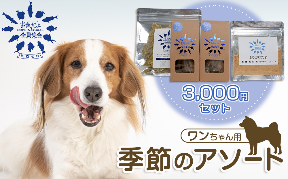 お魚だよ全員集合　季節のアソートセット 3,000円セット　ワンちゃん用｜ペット おやつ 犬 ペットフード 141305_KY01