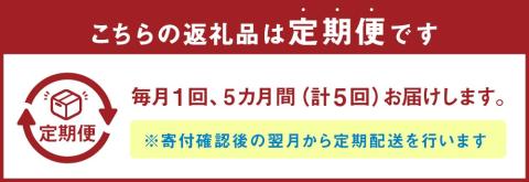 【5ヶ月定期便】A5等級 博多和牛 ヒレステーキ 厚切り (200g×5枚)×5回 合計5kg