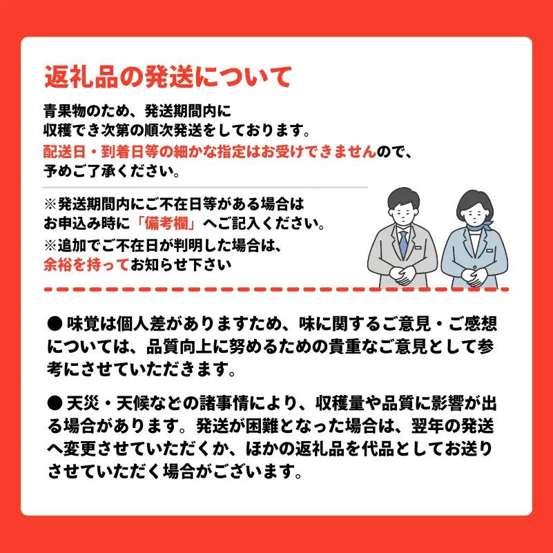 先行予約 りんご 家庭用 サンふじ 5kg りんご