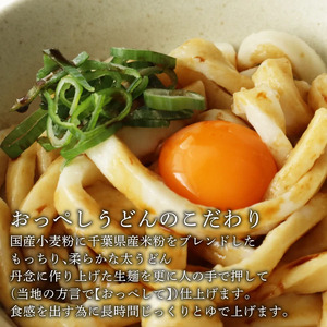 うどん カレー うどん 食べ比べ セット 計 8食 (おっぺしうどん 4食 ブラックカレー 4食) たれ付き スープ付き うどん うどん うどん うどん うどん