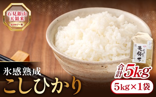 石見銀山天領米（氷感熟成エコロジー米こしひかり）5kg【コシヒカリ 5kg 島根県産 大田市産 米 エコロジー米 氷感熟成 減農薬 減化学肥料】