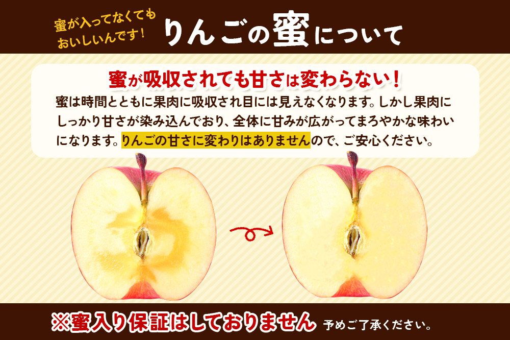 【11～12月発送】りんご 贈答用 サンふじ 約3kg 糖度 13度以上【蜜入り】EMりんご