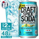 【ふるさと納税】 定期便 2回 チューハイ サワー サッポロ クラフト スパイス ソーダ 350ml×24本 無糖 新・食中酒 甘くないおいしさ 焼津市 T0043-1202