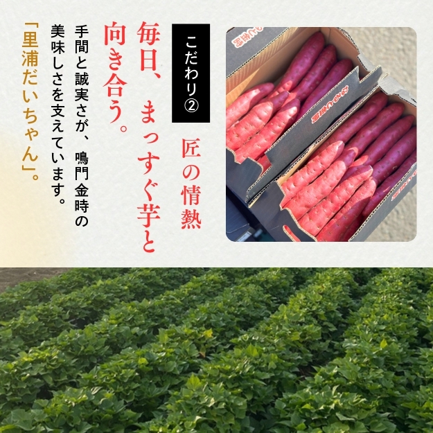【予約受付中・2025年10月下旬頃より順次発送】鳴門産 さつまいも 『 里浦だいちゃん 』 5kg | なると金時 甘い ホクホク スイーツ 焼き芋 干し芋 天ぷら サラダ けんぴ きんつば　さつま