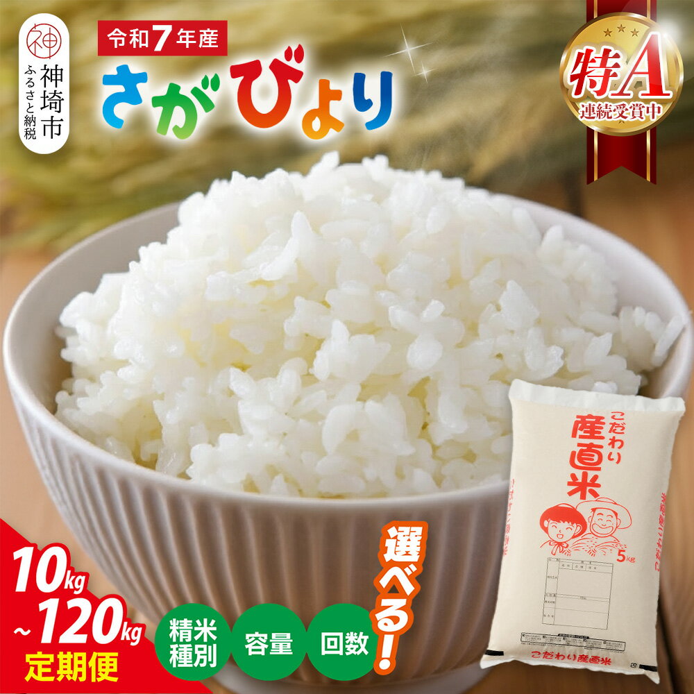 【ふるさと納税】【令和7年産】さがびより ＜精米種別・内容量・定期便回数 が選べる＞【 特A 精米 無洗米 5kg 10kg お米 おいしい 国産 佐賀県産 ブランド 地元農家 木本農園】H061P001