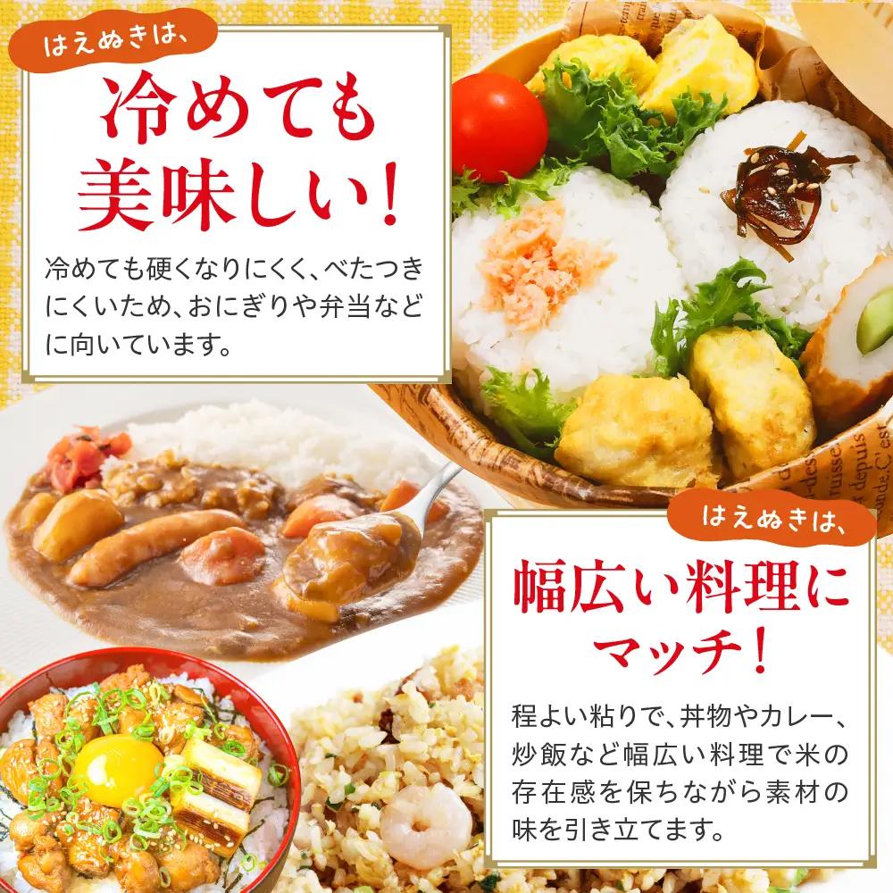 令和7年産 山形県産 はえぬき 無洗米 5kg はえぬき