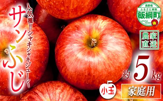 りんご サンふじ 家庭用 ( 小玉 ) 5kg 関農園 沖縄県への配送不可 2026年12月上旬頃から2026年12月下旬頃まで順次発送予定 エコファーマー認定 令和8年度収穫分 信州 果物 フルーツ リンゴ 林檎 長野 予約 農家直送 長野県 飯綱町 [1328]
