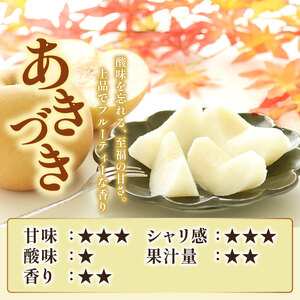齋藤園　梨「あきづき」約5kg（7～14玉入）2026年9月中旬～ ｜ 梨