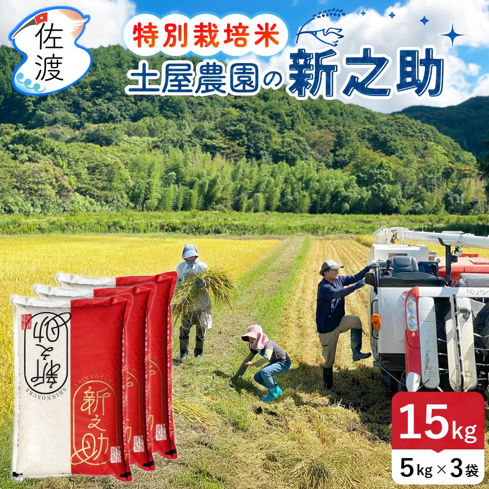 佐渡島産新之助 無洗米15kg（5kg×3袋） 土屋農園 特別栽培米 令和7年産【食の宝島佐渡】195962-0225