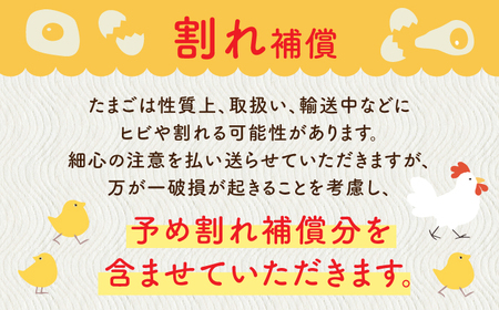 【全6回定期便】ばあちゃんの昔たまご 計360個（55個+5個×6回（割れ補償付き）） / 平飼い卵 / 佐賀県 / 素ヱコ農園 [41AEAA011]