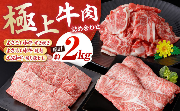 
                  【チョイス限定】高知から美味しい牛肉詰め合わせ すき焼き 焼肉 切り落とし 総計約2kg / 牛肉 肉 牛 すき焼き 鍋  焼き肉 焼肉 切り落とし カット 詰め合わせ セット 国産 A4 A5 食べ比べ 【(有)山重食肉】 [ATAP008]
                