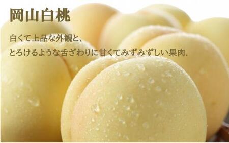 桃 ぶどう 2024年 先行予約 岡山 白桃 エース 2玉×約250g（2Lサイズ、早生種・中生種）ニュー ピオーネ 1房約500g  詰め合わせ 岡山県産 フルーツ[No.5220-0947]