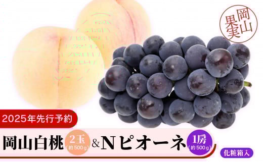 岡山白桃2玉（約500ｇ）＆Ｎピオーネ1房約500ｇ化粧箱入