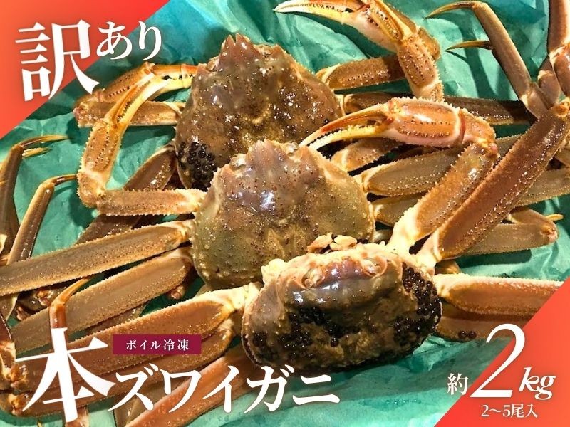 
                  【訳あり】本ズワイガニ　約2kg（2～6尾入）【新潟県村上市寝屋漁港産】【数量・期間限定】 1079001
                